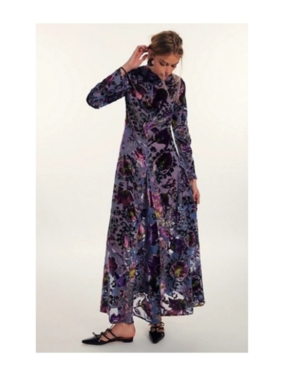 Free People Dresses & Skirts - Free People Bali Painterly Paisley Velvet Maxi Dress